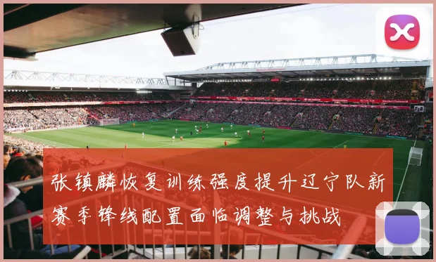 张镇麟恢复训练强度提升辽宁队新赛季锋线配置面临调整与挑战